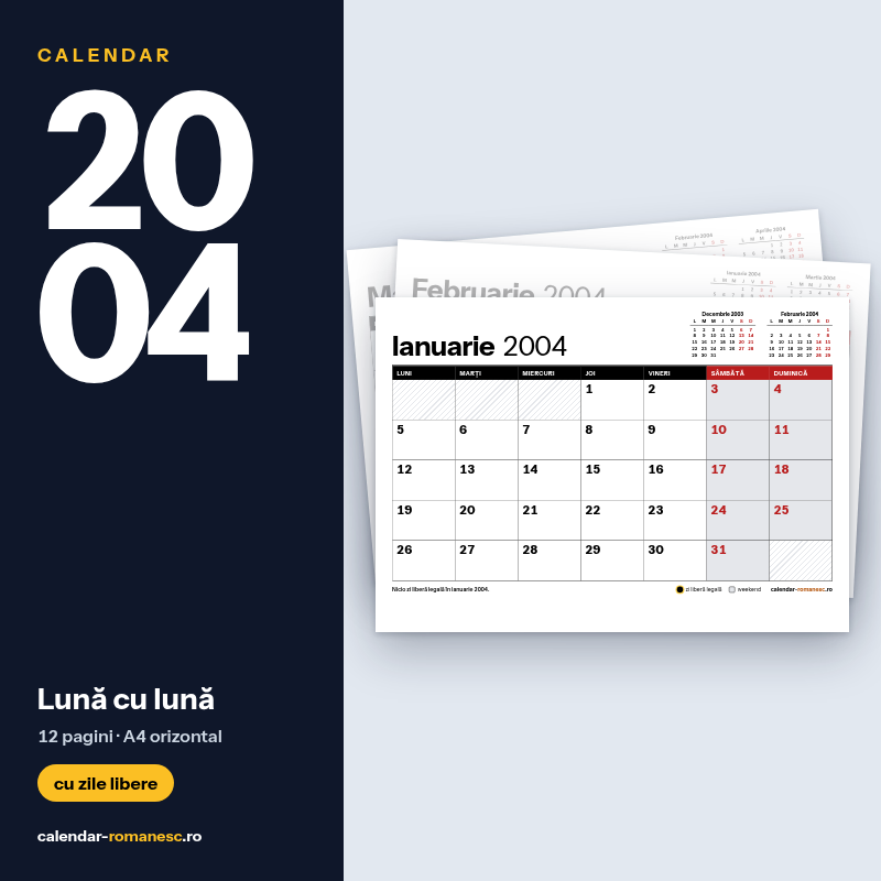 Lună cu lună 2004 - previzualizare