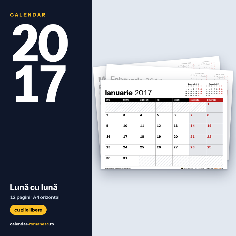 Lună cu lună 2017 - previzualizare